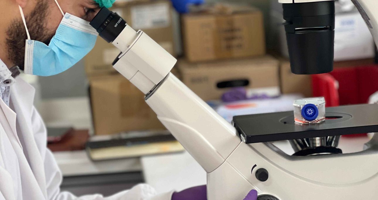 Intelligent analysis of methylation data in Head and Neck Squamous Cell Carcinoma (HNSCC) interactomes
